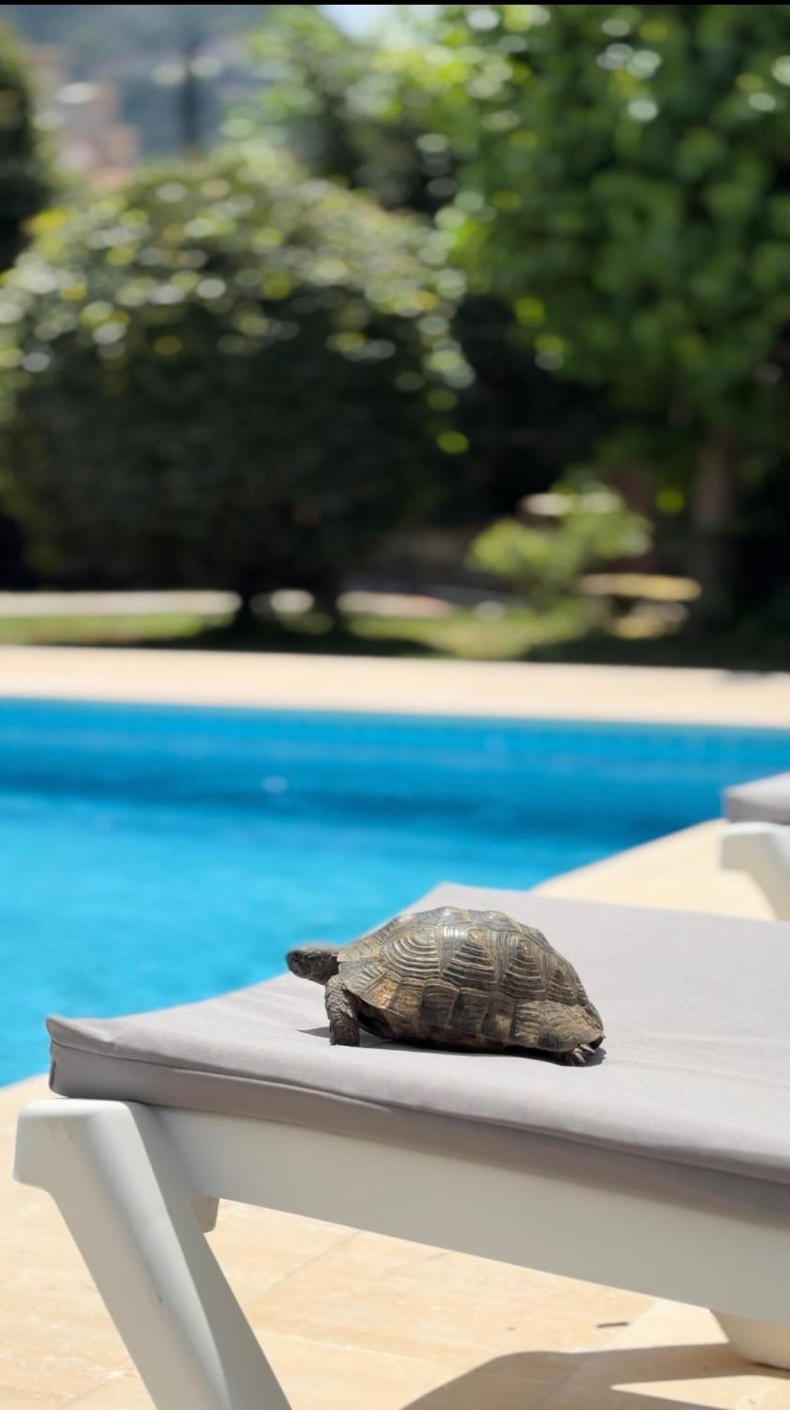 Villa Xanthos 301 Oludeniz Exteriér fotografie